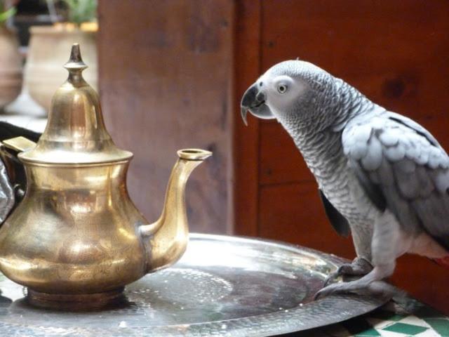 Riad Al Bartal Fez Buitenkant foto